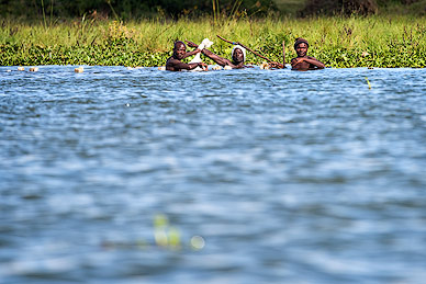 Fischer im Naivasha See