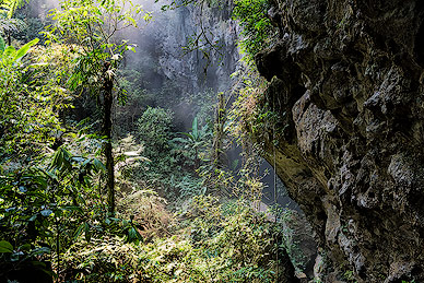 Descent to the entrance of Son Doong