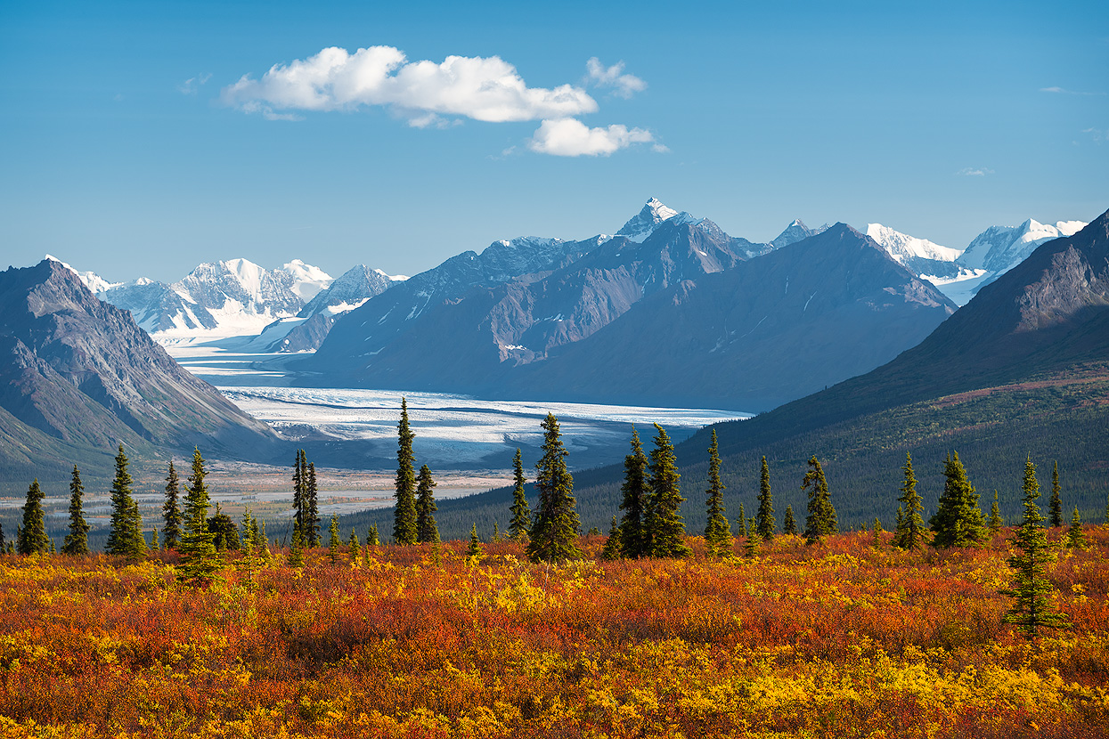 Goldener Herbst in Alaska. Unterwegs am Glenn Highway.