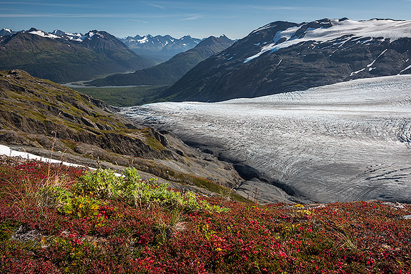 Fall colors in the foreground of Exit Glacier