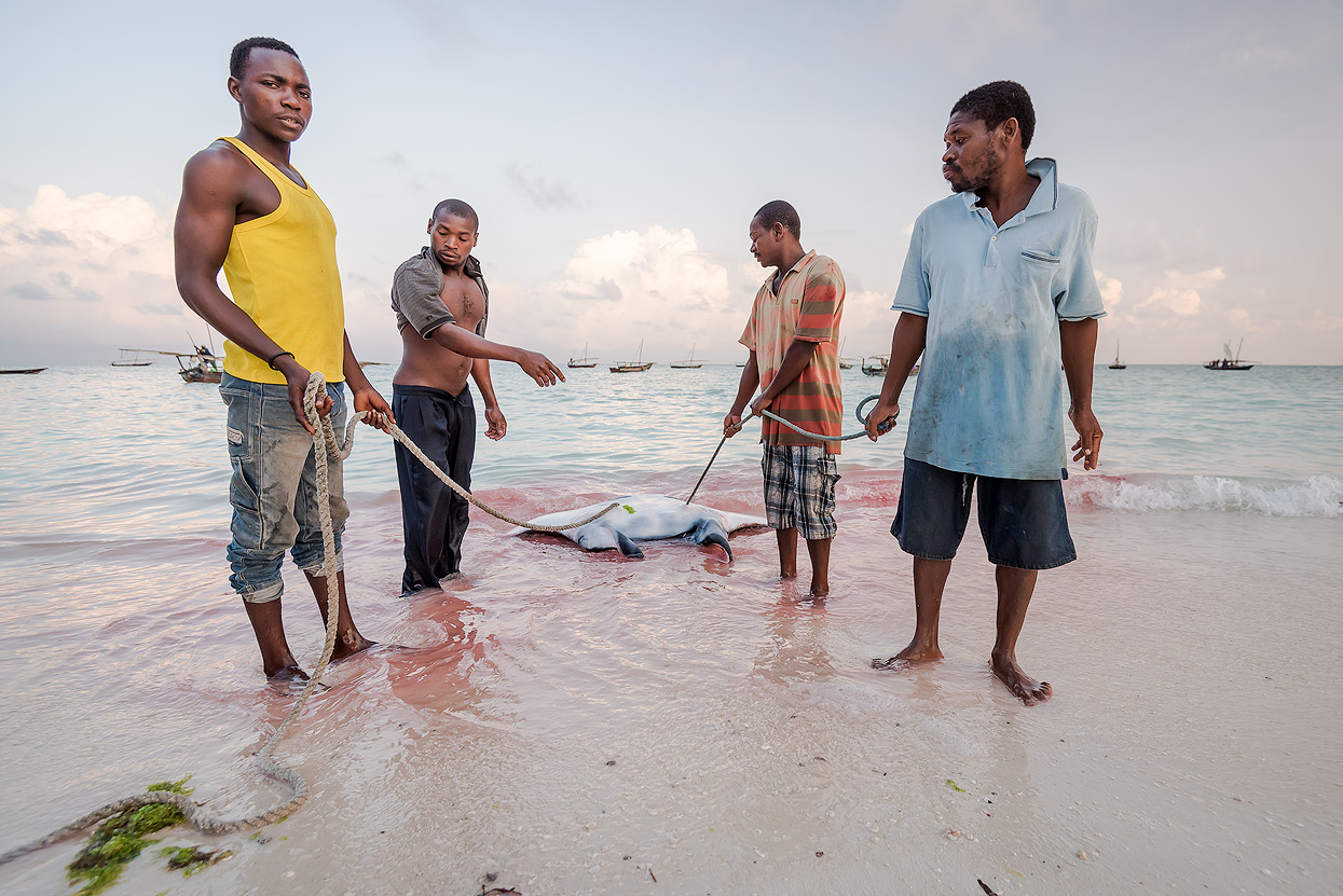 The Manta ray was later auctioned by a fishmonger of a luxury hotel